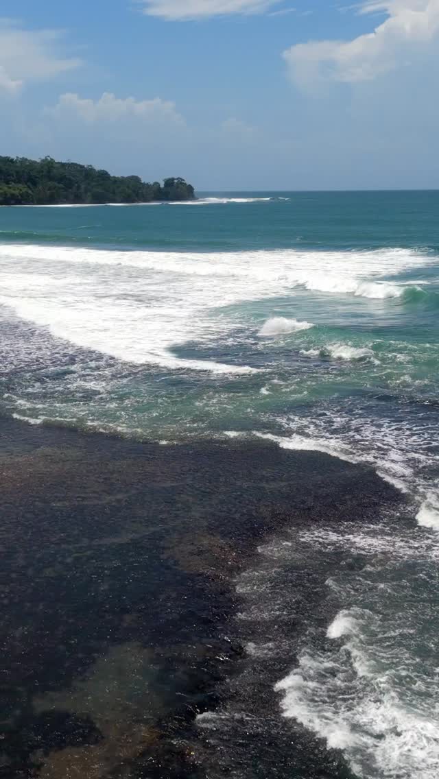 Día 2 en Paunch: pura historia en cada ola 🌊
Finales intensas, maniobras de otro nivel y nuevos campeones nacionales que dejaron todo en el agua 🏆🇵🇦
Así cerramos la última válida del Circuito Nacional de Surf 2025, con olas del Caribe y la comunidad unida por el surf.
Gracias a cada atleta, familia, crew y patrocinador por hacer esto posible.
¡Panamá tiene nuevos reyes y reinas del mar! 🏄♀️🏄♂️💥
@pandeportes @atp_panama @sertvdeportes_ @superdeportes
@gshockpanama @panaroof @lacoralinaislandhouse
@lacoralinaislandclubs @paunchsurfcorp
@bocassurfexperiences @salty_crew
#bocasdeltoro #paunch #cns #surfpanama #caribe #surf #somosaps #circuitonacionaldesurf