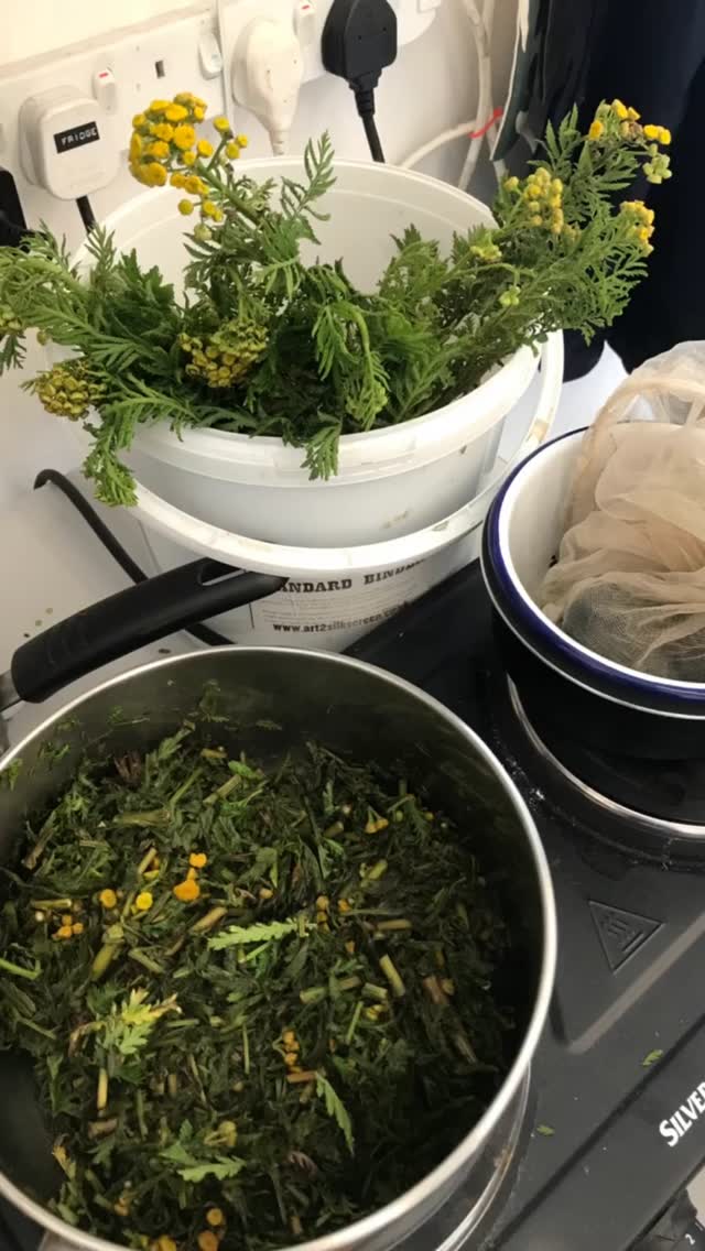 First day of the Natural dye summer school and this is what we’ve been cooking up including fresh Tansy collected from the downs this morning. Looking forward to tomorrow with @bookyjen @jo_lambert_print @lucysoar and @chrisraynerart
#naturaldyes #coloursfromnature #printingwithnaturaldyes #sustainablepractices