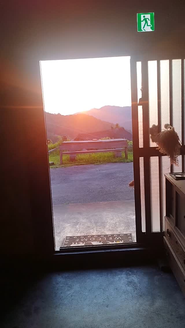 A moment you wish could last forever.
Just the sunset, and a heart quietly watching.
#EndOfTheDayGlow #一日の終わりの輝き
#SunsetDreaming #夕日の夢
#QuietSkies #静かな空
#ChasingLight #光を追いかけて