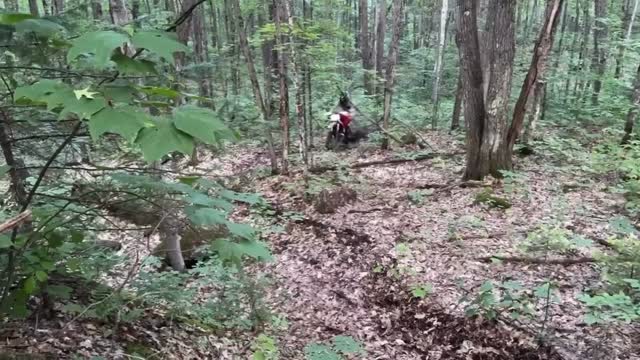 Bruno knocking all of the moss off the new hard line.