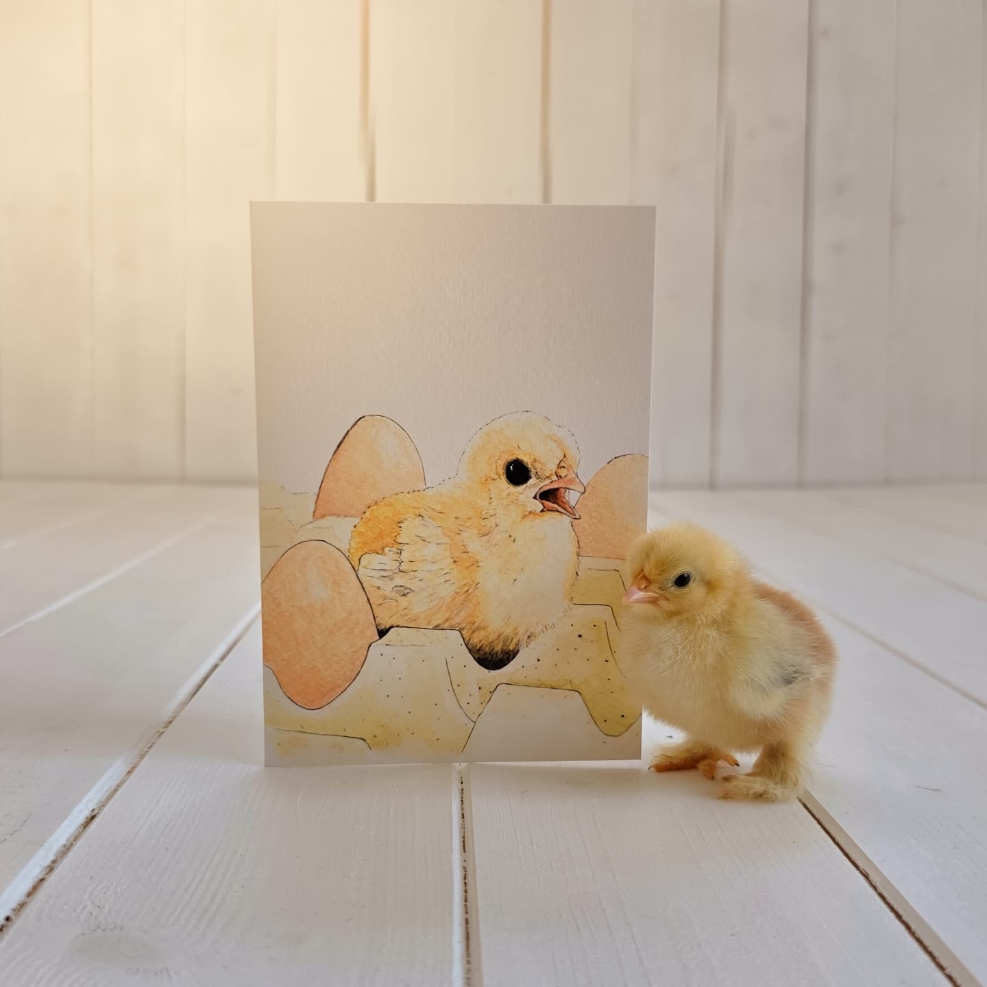 We have the cutest co-workers here at Wings!
This chick modelled for this product photography shoot for the Gus & Dave range.
Link in bio.
10% off when you buy 3 or more items.
#greetingscards #watercolours #handpainted #ecofriendly #chickentherapy #chicksofinstagram #pekinchicks #wrappingpaper #recycled #smallbusinessuk #womenowned #gusanddave #wingsandpawsatwisteria