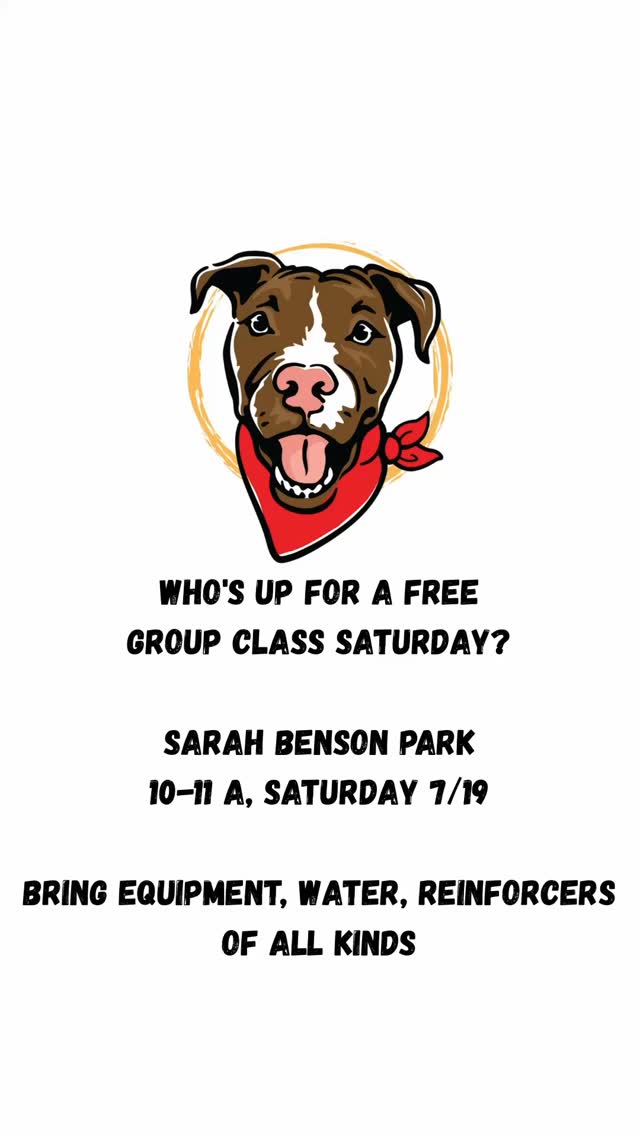 I have three secrets I will reveal only to those at the group class. They have nothing to do with dog training.