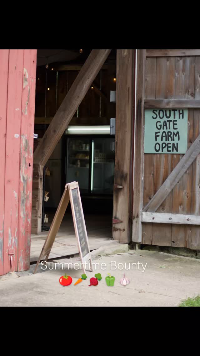 Tomatoes are rolling now ❤️🍅❤️