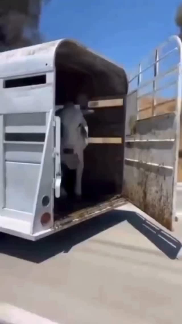 🎓 We specialise in educational, informational, and commentary content — whether it's Reels, Podcasts, or long-form YouTube videos, we deliver high-quality, expertly edited outputs tailored to your vision.
💸 Worried about budget? Don’t be. Our multi-tiered pricing has something for every creator, and our interactive pricing calculator makes it easy to plan ahead. Focus on your creation journey while we handle the editing!
📲 Check samples and explore pricing — both linked in bio.
📞 Got questions or ready to start? DM us or WhatsApp at 9930319225 — we’d love to hear from you!
#digitalmarketing #marketingservices