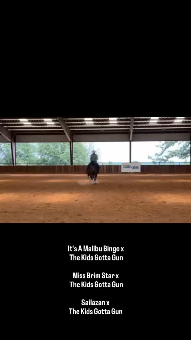 This group of 2-year-olds is looking amazing! Thank you Rodrigo Nieves Reining for sending us the progress videos. They're exciting to see!
It's A Malibu Bingo x The Kids Gotta Gun
Miss Brim Star x The Kids Gotta Gun
Sailazan x The Kids Gotta Gun
The Kids Gotta Gun:
LTE: $104,000+
PE: $211,000+
#RodrigoNievesReiningHorses #NRHAReining #nrha #quarterhorse #SantaHillRanch