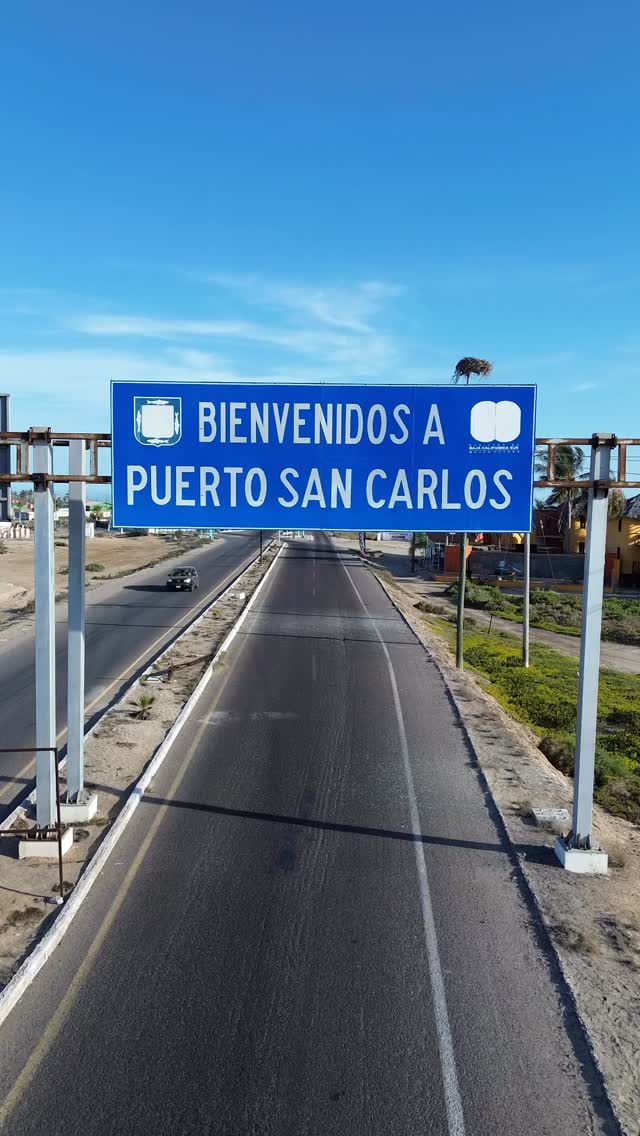¿Has sentido lo que es estar realmente vivo?
Es nadar entre lobos marinos curiosos.
Es ver marlines, delfines y aves persiguiendo bolas de carnada.
Es encontrar ballenas a unos metros y quedarte sin aliento.
Es acampar frente al mar, rodeado de dunas, manglares y cielos infinitos.
🌊 Así se vive Bahía Magdalena con Murillos Bros Adventours.
🎥 Grabado con el DJI Mini 3 de @djiglobal
Esto no es un tour… es una aventura que se queda contigo.
#MurillosBrosAdventours #BahíaMagdalena #ExpediciónMagBay #NadoConLobos #BolasDeCarnada #DunasYMar #SafariMarino #AventuraEnBaja #ViajaDiferente #TurismoConSentido #WhaleWatchingMexico #MagdalenaBay #EcoturismoMexico #MagBayExperience