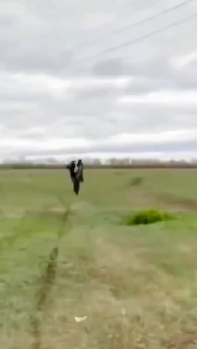 🎓 We specialise in educational, informational, and commentary content — whether it's Reels, Podcasts, or long-form YouTube videos, we deliver high-quality, expertly edited outputs tailored to your vision.
💸 Worried about budget? Don’t be. Our multi-tiered pricing has something for every creator, and our interactive pricing calculator makes it easy to plan ahead. Focus on your creation journey while we handle the editing!
📲 Check samples and explore pricing — both linked in bio.
📞 Got questions or ready to start? DM us or WhatsApp at 9930319225 — we’d love to hear from you!
#digitalmarketing #marketingservices