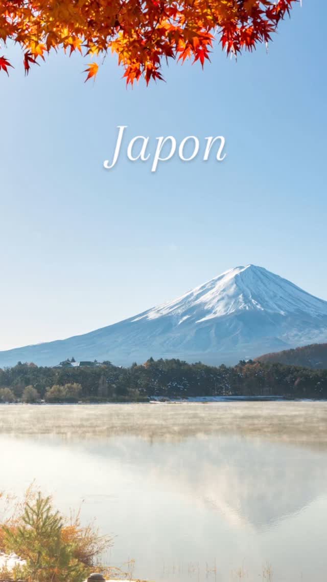 𝐄𝐭 𝐬𝐢 𝐭𝐮 𝐝𝐞́𝐜𝐨𝐮𝐯𝐫𝐚𝐢𝐬 𝐮𝐧 𝐚𝐮𝐭𝐫𝐞 𝐯𝐢𝐬𝐚𝐠𝐞 𝐝𝐮 𝐉𝐚𝐩𝐨𝐧 ? 🇯🇵
Au-delà des néons de Tokyo, le Japon t’offre une nature grandiose et apaisante.
Admire le mont Fuji se refléter dans les lacs, explore les gorges vertigineuses de la vallée d’Iya, marche au cœur des forêts de cèdres millénaires, et vis l’immensité de la caldeira d’Aso, l’une des plus vastes au monde, dans un paysage presque lunaire.
Entre traditions, sérénité et paysages à couper le souffle, ce voyage est une immersion dans un Japon profond, loin des foules… et inoubliable.
On te crée un itinéraire sur mesure, selon ton rythme et tes envies.
#JaponAutrement #NatureJaponaise #MontFuji #ValléeIya #ParcDASO #ForêtsDeCèdres #VoyageSurMesure #RomontVoyage #AgenceDeVoyageRomont #ÉvasionJapon #romontregion