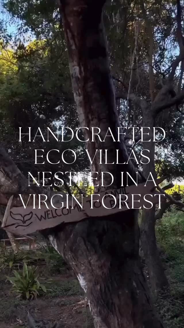 Anvil Bay - Eco Luxury Villas
#luxury #reels #marketing #video #design