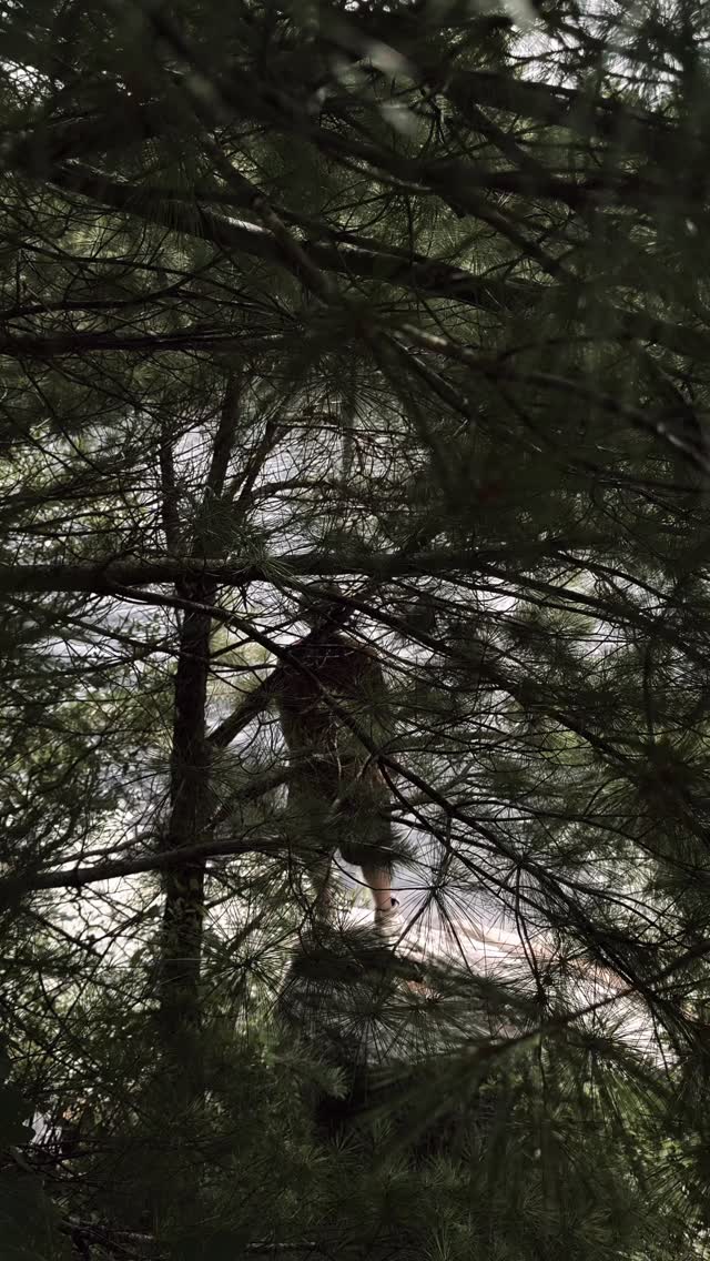 📍41°30′31.8″ N, 71°46′43.4″ W
Field Log: Long Pond Woods.
Dense groves hold the frequency.
Rock outcrops bake in late sunlight.
The shrine doesn’t shout. It hums.
If you’ve walked here, felt that hum—
drop 🌲 in the code. You know what I mean.
#ShrineAppears #LongPondGrid #CodeCarrier #RIFieldwork #SacredCoordinates #squad4ourlife #fyp #codecarrierconfirmed #codecarrier #fypreelsシ゚viralシ #ocean #pond #scenic