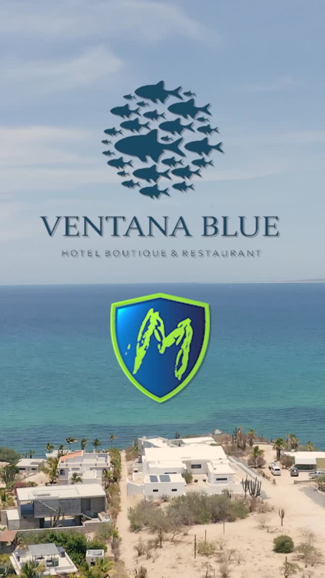 🎣 Back from Baja and already planning our return! 🐟
We just wrapped an unforgettable week in La Ventana & La Paz with the BCOSF crew — epic tuna, dorado, and roosterfish fishing, vibrant culture, and next-level hospitality from @ventanabluehotel Hotel.
💥 Our November 13–20, 2025 trip is officially SOLD OUT — but don’t worry, you’ve still got a shot to join the Mayhem…
📅 New Week Just Released: November 20–27, 2025
🚤 3 full days of guided fishing (2 anglers per boat)
🏡 Boutique villa accommodations (2 guests: 1 queen + pullout)
🍽️ All-inclusive meals & drinks
🚐 Round-trip airport transfers
👥 Based on double occupancy – just 5 villas available
Whether you’re chasing roosterfish, dorado, tuna, or the trip of a lifetime — this is it.
Limited spots available — book now at www.mayhemfishing.ca or message us for full details and pricing.
Join the mayhem. Experience Baja. 🔥
#MayhemFishingAdventures #BCOSF #BajaFishingTrip #LaVentanaBlue #FishingGetaway #AnglersParadise #TunaFishing #Dorado #Roosterfish