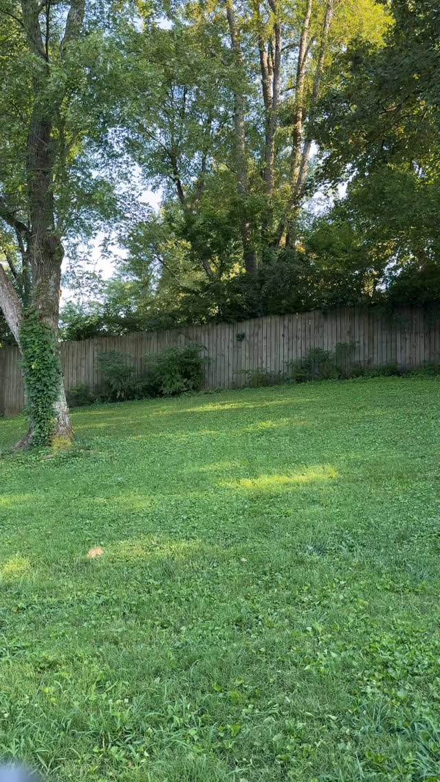 🌚 low key on tour