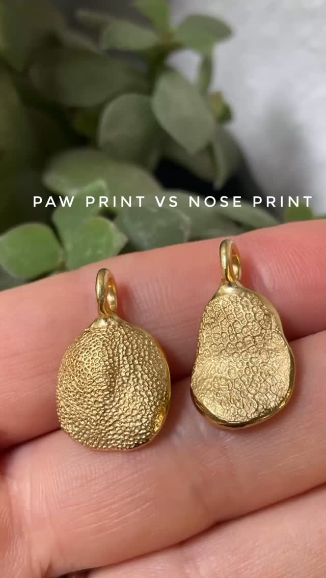 Ever wondered how our doggy paw prints and nose prints differ? 😍 The gorgeous prints of @martin_the_setter 🐾