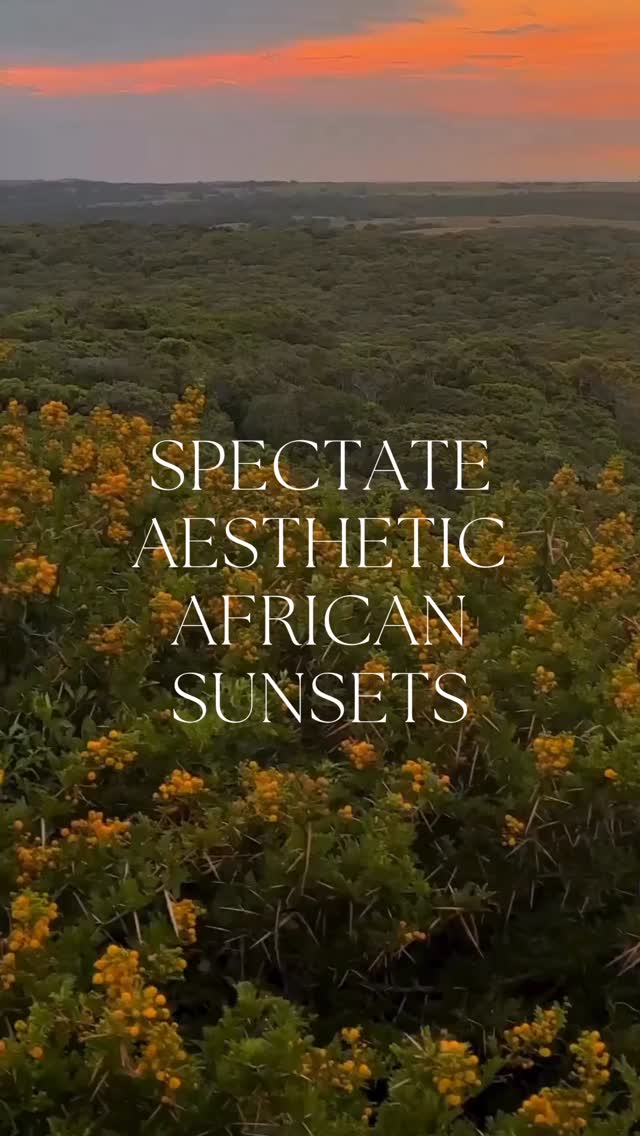 Anvil Bay - African Sunsets
#africa #sunset #reels #marketing #video
