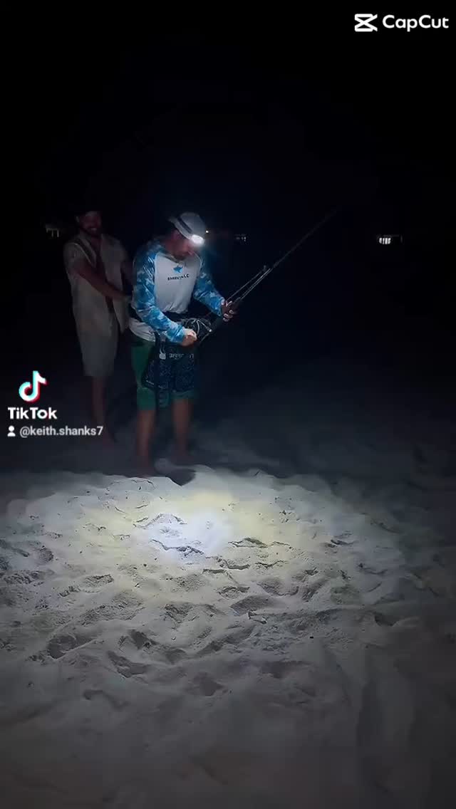 CLIP OF OUR HAMMERHEAD!