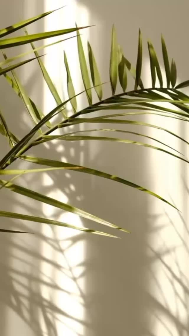 “Your breath is your anchor. Inhale peace, exhale tension. Everything you need is already within you.”
#wellness #mindfulliving #breathe #innerpeacejourney #yogaoffthemat #yogalife