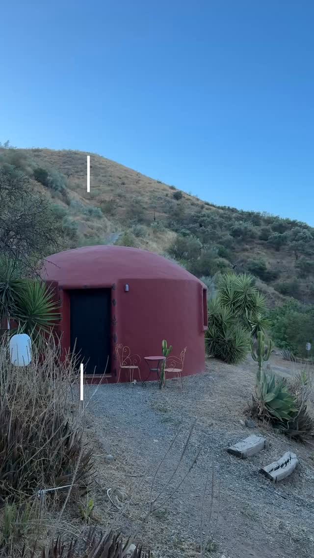 Day 3: Started with sun salutations, ended on the dancefloor 🧘♀️🪩
Today had it all — dreamy flows, deep connection, and… an unplanned afterparty that got a bit wild. Who knew this zen crew could throw it down like that? 👀
Yoga by day, dancing queens by night 💃✨
#RetreatGoneRogue #YogaAndChaos #GoodVibesOnly #NamasteAndSlay #DamnHotYoga #SavasanaToSambuca