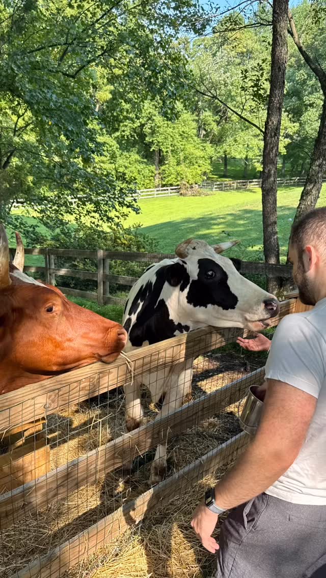 It’s never been easier to adopt a plant based lifestyle. Our habits and taste buds aren’t worth another sentient beings life.
Being vegan isn’t privilege. Privilege is not having to think about what happens to animals that are victims of animal agriculture.
@thesavemovement @rosiesfarmsanctuary
#vegan #animalrights #plantbased #veganlife