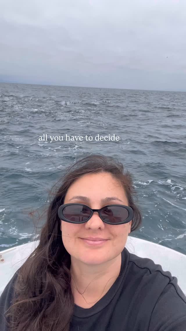 We started these sea life tours because we believe in slowing down, breathing in the sea air, and feeling wonder again—together. Whether it’s your first dolphin sighting or your child’s first time on a boat, we want to create that moment with you✨
#coastlinesafari #sealife #oceanside