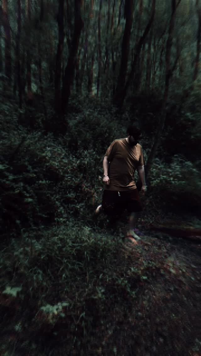 41°24’38.75″ N, 71°45’48.49″ W
The birds won’t stop watching.
The wind said my name… twice.
I came to scout the shrine.
But now I’m counting moss patterns and decoding squirrel behavior.
Is this part of the ritual?
Or did I wander too far from the sigil path?
Code Carriers: if you’ve walked these woods and returned with your sanity,
comment with “ą”so I know I’m not alone.
#GridDistortion #ShrineEffect #CodeCarrierFieldLog #RICoordinates #GrillsSanctuary #WasThatASymbolOrABird