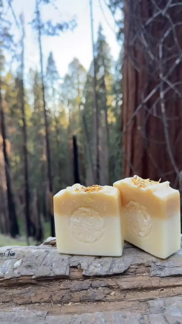 #handmadesoap #handmadesoaps #calendulasoap #jabonartesanal #naturalsoap #handmade #elpasotexas #skincare #naturalingredients #skincare