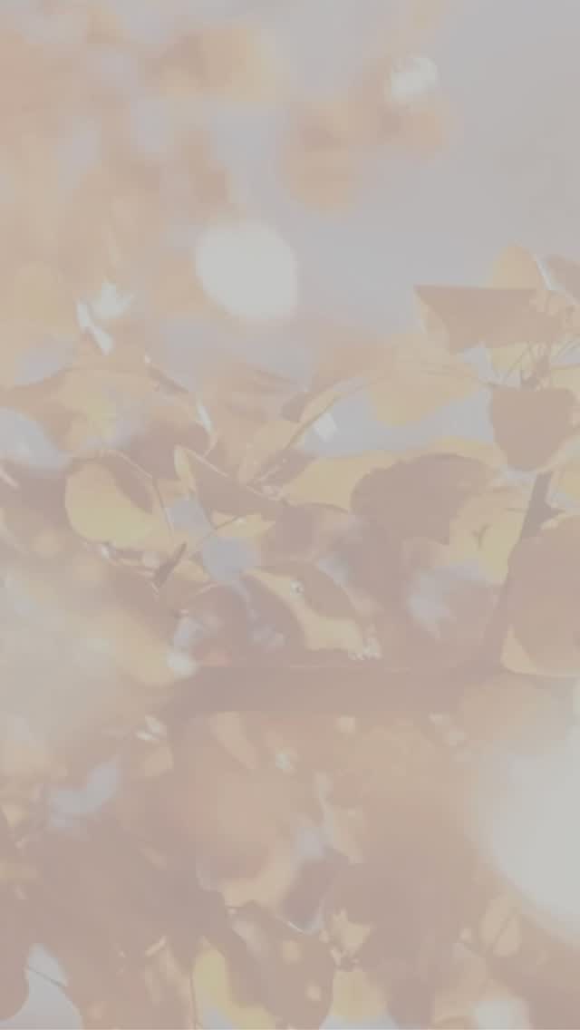 Attention vendors! TOMORROW (7/25) is the final day to register and be included in our printed marketing materials!
📅 Save the Date: Saturday, Sept 27 | 11AM–4PM
Want to join this year’s featured businesses (@summit.counseling @highcountrydoulas @buildpowergrind @empassion_pelvichealth @healuwellness and @the_nursing_nook)?
✔️ Must serve women and/or children (healthcare or products/services/retail)
✔️ Booths: $65 (or $25 with 501c status)
✔️ Application deadline: July 25 (or until spots fill!)
Apply now! The application link is in bio. And don’t forget to tag your favorite mama-owned biz or family-friendly brand that needs to be part of this day. Let’s gather, grow and celebrate our community together. 💛
#BlossomAndThrive #GroveHealthCollective #TriCitiesEvents #JohnsonCityMoms #VendorOpportunity #FallFestival #FamilyFun #MomsAndBabies #SupportLocalMamas #WomenAndChildrenFirst #HealthExpo2025