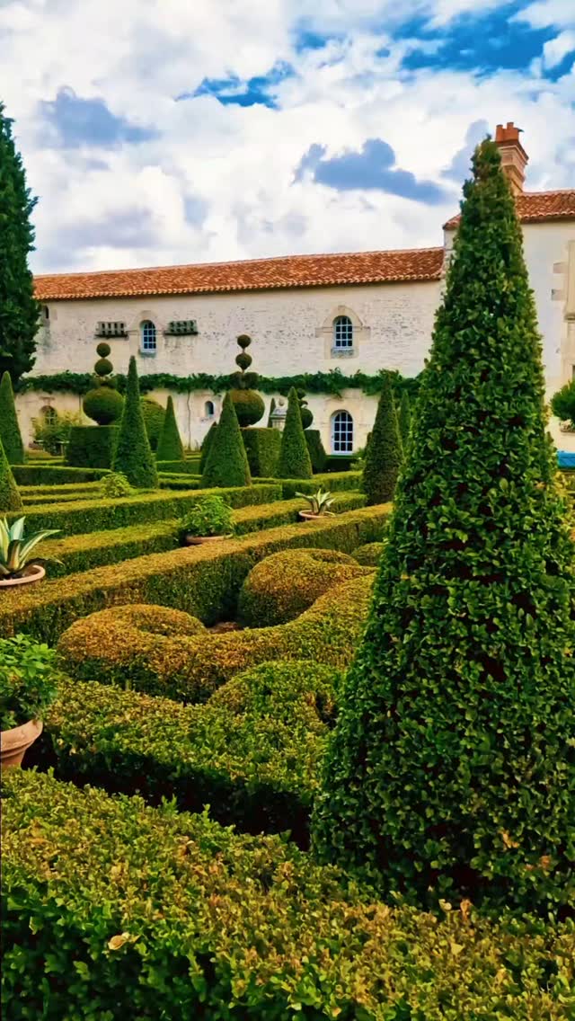 |🌹 Dans le jardin d'Alice au pays des merveilles
📍 Jardin de William Christie
Thiré, Vendée
#cmartetculture #jardinremarquable #beauxjardins #vendeetourisme #visitfrance