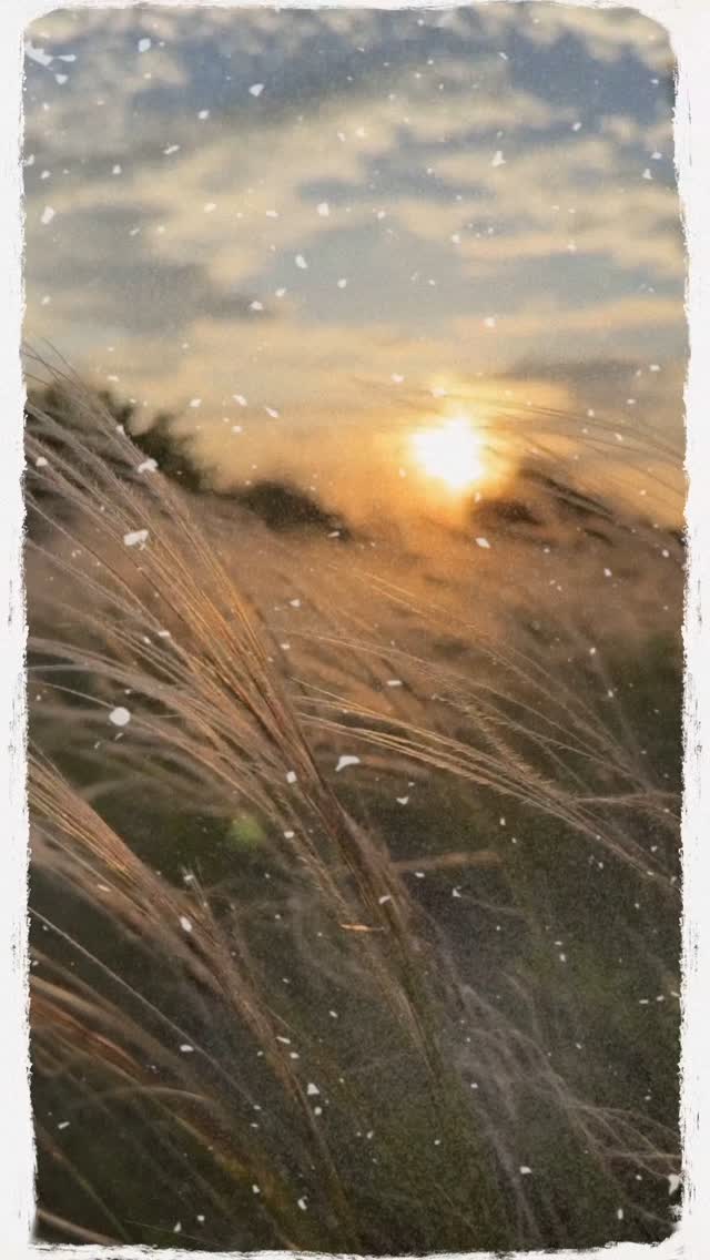 It’s not just about how you look.
Consistency gives you:
⚡ More energy
🧠 Clearer focus
😴 Better sleep
💪 Unshakable confidence
Train for the life you want - not just the body.
Train with me - sign up for a free trial. Link in bio.
#ConsistentAF #RealResults #TrainForLife #MotivationReel #FitnessMindset