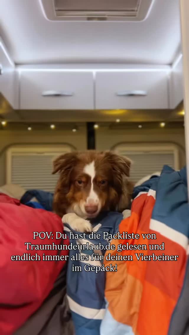 POV: Du hast die Packliste von Traumhundeurlaub.de entdeckt und endlich alles für deinen Vierbeiner im Gepäck! 🐶🧳💯
Habt ihr schon eure nächste Reise geplant?
Lasst uns wissen wohin und was im Koffer nie fehlen darf! 🤨
#traumhundeurlaub #hundeurlaub #reisenmithund #urlaubmithund #hundefreundlichreisen #bodenseemithund #bodenseeliebe #dogtravel #wandernmithund #hundeglück #nordseemithund #hundezubehör #hundemachenglücklich