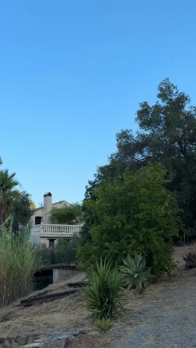 Day 5 dropped late thanks to the no internet in the Spanish mountains 🏔️✨
No voiceover needed; the movement said it all.
We opened with the 5 Tibetan Rites, got absolutely wrecked (in the best way) by Pam in IHP, snapped some dreamy shots, then partied into the sunset. Bliss.
#damnhotyoga #YogaRetreat #5TibetanRites #InfernoHotPilates #HotYoga #WellnessRetreat #MovementMedicine #MindBodySoul #CoreWorkout #RetreatVibes #SpanishMountains