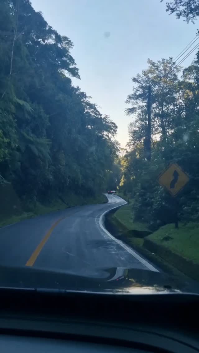 Duvido trabalhar em um lugar mais bonito do que Paraty!
É um privilégio poder viver aqui e levar pessoas para conhecer cada canto deste território.
#territorioancestral #natureza #inearj #reservadajuatinga #paraty