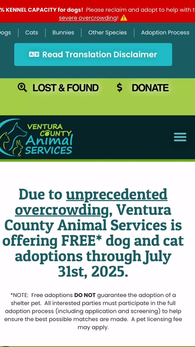 These critters deserve love, let’s find them forever families or fosters #vcanimalservices
