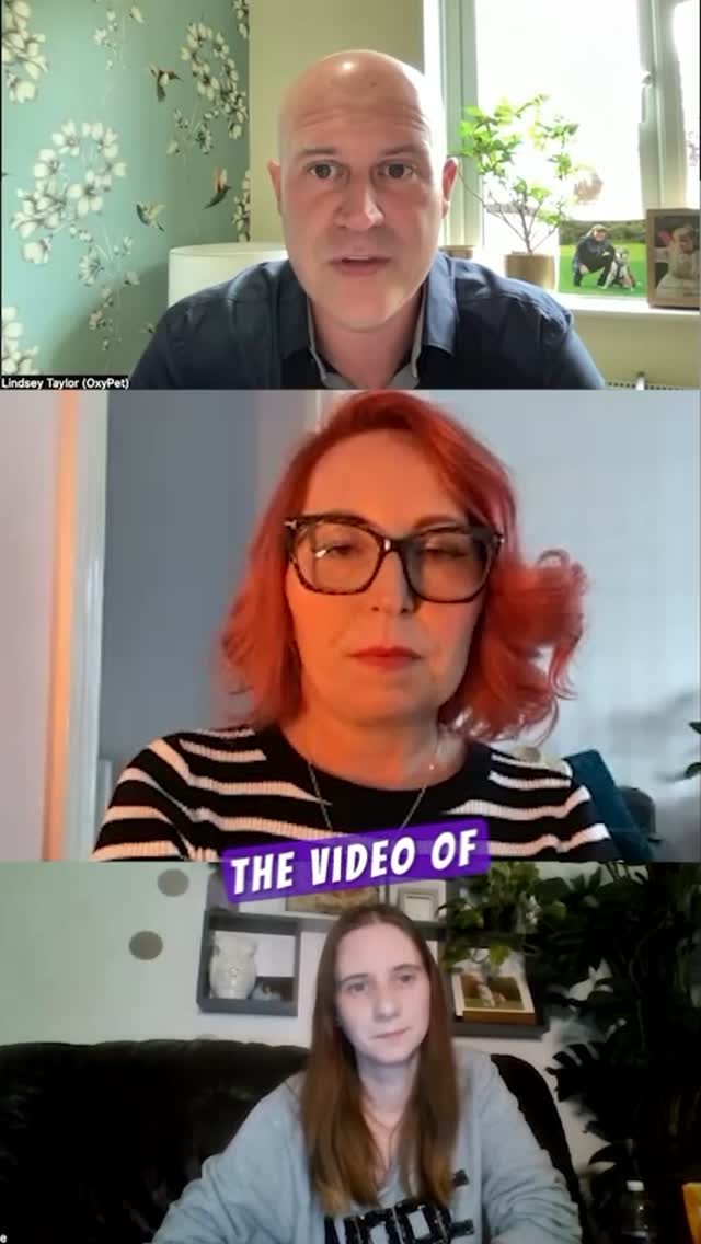 George used to pant + panic after play.
Now, one drink of OxyPet and he chills in the corner like a zen master. 🐶💧
Psst…we have an exciting surprise on the way. Watch this space!
#FlatFacedBreeds #DogWellness #FrenchBulldogLife #OxyPet