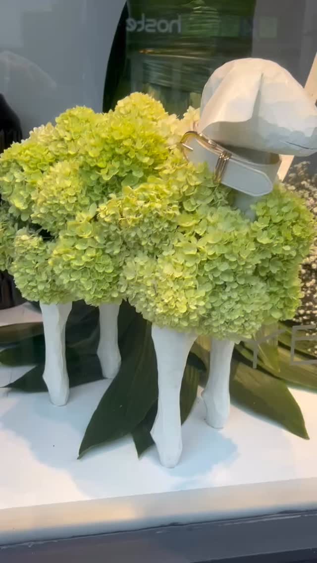 Hey! Look at this. #galway #giaf #galwayraces #windowdisplay #flowers #yes_flowers