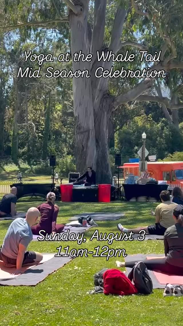 Join us for our mid-season celebration this Sunday!
We’re offering free yoga classes all summer long! Stay after for live music, food and drinks.
📍The Whale’s Tail, 14th Ave East meadow, (near the rose garden)
⏰ 11AM-12PM
🗓️ SUNDAY, August 3rd (After this we are back to our Saturday schedule)
🔗 link in bio to sign up for class
.
.
.
.
.
#sanfranciscoyoga #sanfrancisco #bayarea #bayareayoga #freeyoga #freeyogaclass #outdooryoga #outdooryogasf #outdooryogapractice #outdooryogaclass #sf #sfyogateacher #sfyoga #sfwellness #sfbayarea #thesweatlifesf #thesweatlife #goldengatepark