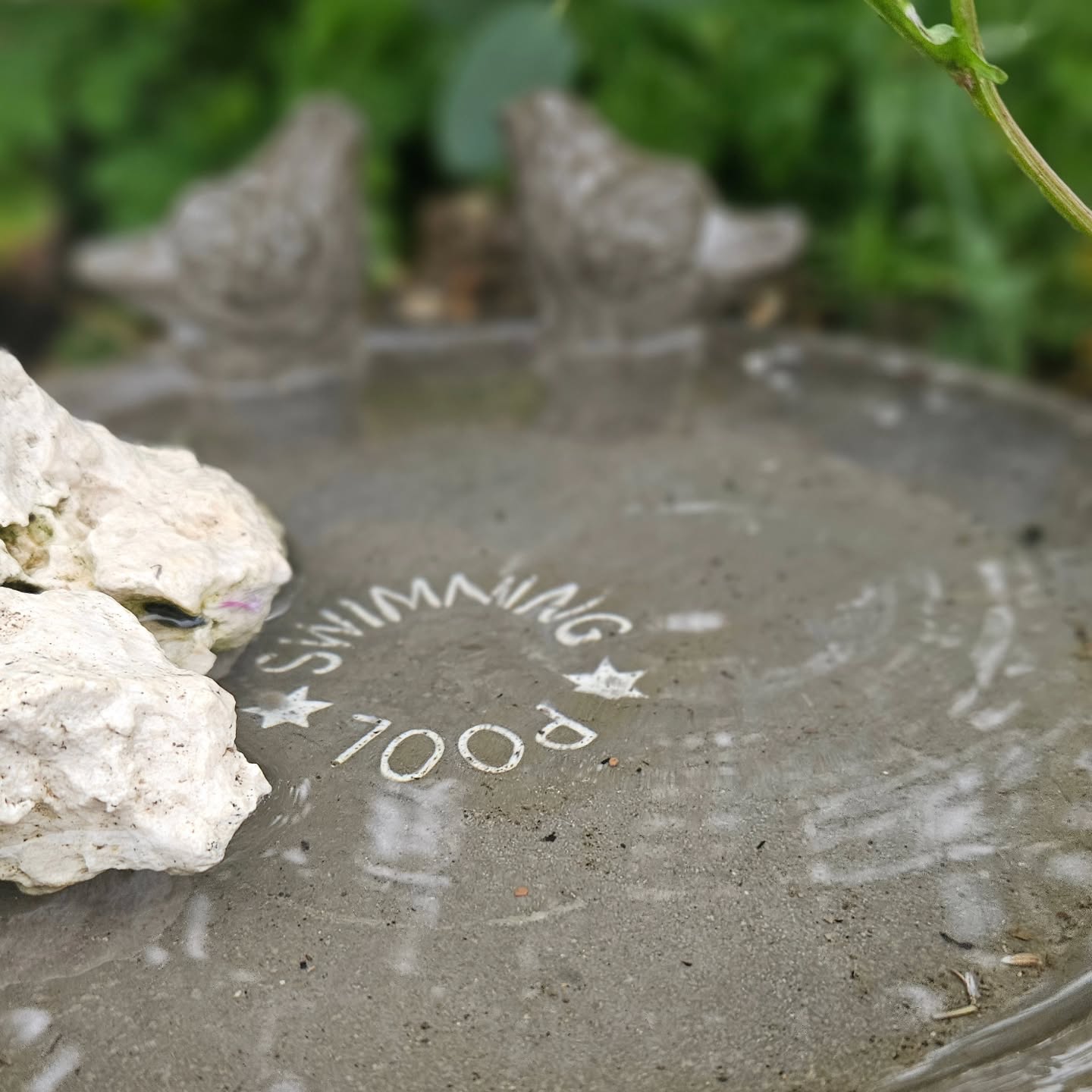 Tiefe Heilung und was mir gerade auf dem Herzen liegt. Und was das Wetter mit unseren inneren Prozessen zu tun hat 💚
Ferien, Urlaub, Blues, Schwere, Traurigkeit, Erschöpfung, Depressionen
Wie fühlst du dich gerade? Was macht das Wetter mit dir?
Es ist wie ein Schub Kapha Energie, der sich gerade übers Land legt - Wasser und Erdung. Das Wasserelement steht für Emotionen, Zugang zu den Gefühlen und der Innenwelt. Die Kühle bietet Möglichkeit für mehr und tieferen Schlaf. Weniger im Außen als im Innen sein. Zeit für Heilung und Regeneration.
Ruhe finden in einer so überhitzten Welt und agressionsgeballten Nachrichtenflut (ich selbst konsumiere seit fast 3 Jahren keine TV, Radio, App, Zeitungs- Nachrichten mehr). Du wählst was gesund für dich ist
Es geht so viel um Äußeres, Optimierung, Perfektion, Härte, Stärke,, Selbstdarstellung, patriachalischen Größenwahn.
Ist es nicht vielmehr Zeit, bei uns, in unserer Essenz, in der Tiefe anzukommen?
Wieder weich und sanft sein mit uns und anderen?
Fühlen, spüren, in Verbindung gehen?
Genau diese Qualitäten hat die Kapha Energie. Es ist auch die weibliche Energie, die für Fruchtbarkeit steht und Leben hervorbringt.
Vielleicht kann die (Wetter) Qualität im Außen uns eine Erinnerung für die inneren Prozesse sein.
Das Außen ein Spiegel sein für das, was wir jetzt wirklich brauchen. Wofür wir eigentlich hier sind.
Welche Aufgabe unsere Seele für dieses Leben gewählt hat.
Was sind deine Gedanken dazu?
Ich freue mich von dir zu lesen.
Von Herzen, namasté, Tina
#Heilzeit #postpartumdoula #ayurvedafürfrauen