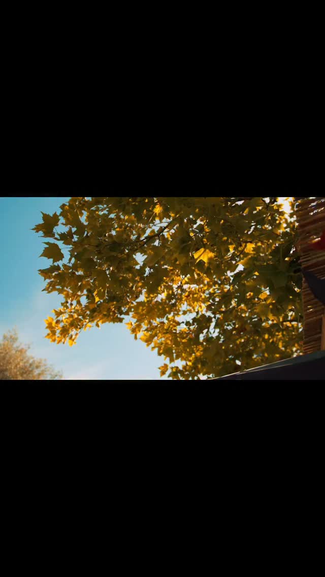 Reeds Festival 2025 ❤️💛💚
Hoffentlich wird Euch der Regen-Montag so etwas versüsst... 😁 DANKE für diese wunderbaren Momente und Aufnahmen!
#reedsfestival2025 #reedsfestival #reedsfamily #pfäffikonzh #pfäffikersee