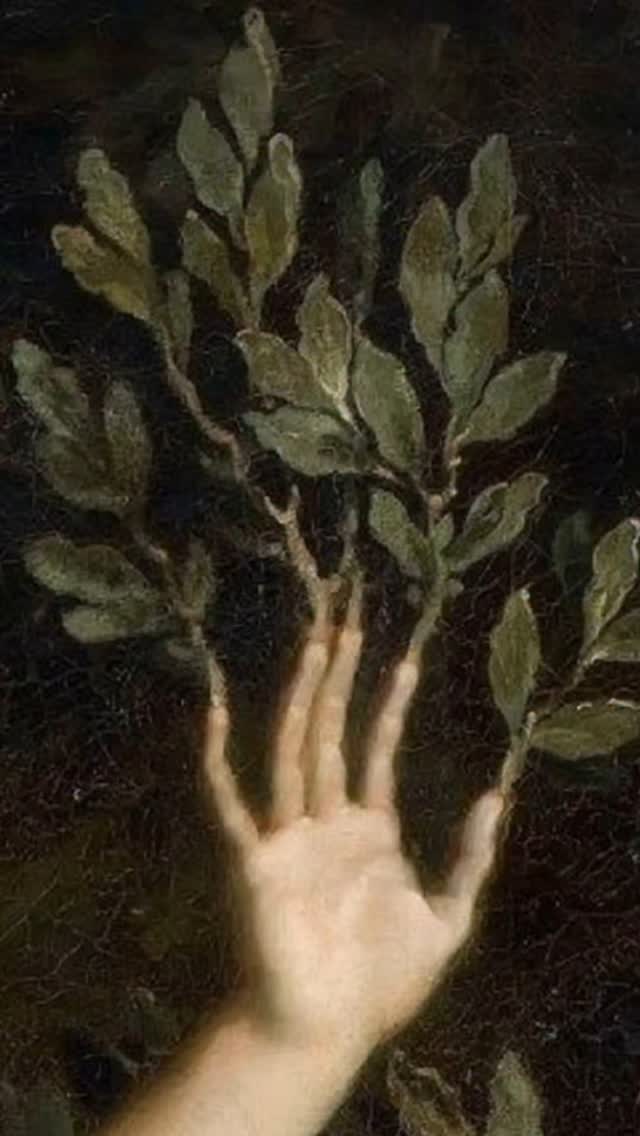 🌲🌳Une cape faite pour l'aventure🌿
Et vous, vous voulez aussi une cape en laine dans votre garde robe, pour vous tenir au chaud et vous préparer à une grande épopée ?
Réalisée pour un ami pour les Médiévales, elle est en pure laine 🥵
Je pense m'en faire une pour cet hiver 😏 j'hésite encore pour la couleur peut être verte aussi 🤔
.
.
.
.
.
.
.
.
#ateliervergnes #couture #renaissancefaire #dnd #dress #corset #sewing #smallbusiness #cape #dream #beautiful #dreamy #lotr #elf #cute #cloak #aesthetic #druid #fashion #fantasy #history #costume #medieval