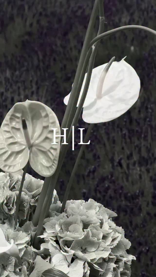 GAME & MATCH.
With "No Games" being the floor filler of the night as the groom and his groomsmen errupted onto the dance floor, (with possibly all the suppliers having one hell of a boogie, lets be honest!) this teeny tiny peek into Hannah and Luke's day couldn't stay hidden on my phone or in my heart.
With a floral brief that set my soul on fire it was always going to be an epic day, with Laura Planning and I playing with the stationery, signage, styling and florals, we didn't play ... in fact, I'd say, we smashed it. No Games here.
Planner: @studio81events
Florals, Stationery & Styling: @junie_poonie
Reel content: @reellove_content
Cala lily, Anthurium, hydrangea, simple, simple but stylish, mono green, wedding flowers, trending bouquet, bridal bouquet, cala lily bouquet
#cala #calalily #calalilybouquet #Anthurium #whiteanthurium #greenanthurium #trendingbouquet