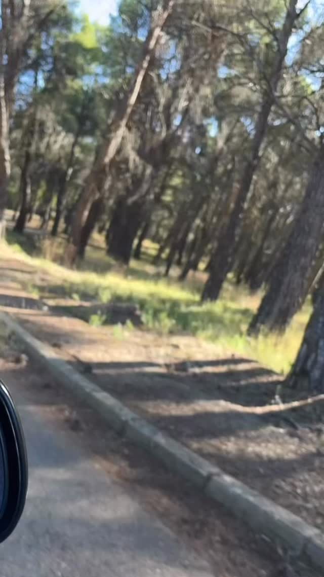 Siglo XI, Daroca 🛡️⚔️
Las escribas @clarafuertesescritora y @almubree comparten sus historias y hechizos con los transeúntes de la antigua ciudad musulmana desde la Casa de la Cultura, compartiendo sabiduría con el druida Wulkarun (@runasdelviento).
Os esperamos en nuestro pequeño rincón de palabras. ❤️