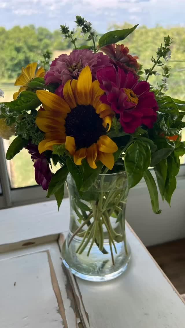 🌼 Special Hours This Week! 🌼
We’re open Tuesday through Thursday from 11–6 — swing by and treat yourself to a fresh bouquet (or two)!
🌻Want something just for you? Slide into our DMs for custom orders.
Come soak up the flower magic!
#FreshFlowers #FlowerPower #HarrodsburgKY #BloomsForDays #LocallyGrown #PetalParty #SupportLocalFarmers