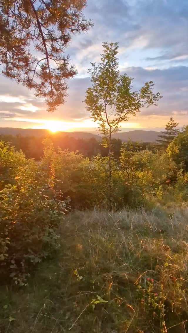 Whaouh la Golden Hour !! 🌅
Ça vaut de l'or 🥇🥇
Et toi ça te tente ?
#savoie #sunsetlovers #cocoonwood #amour