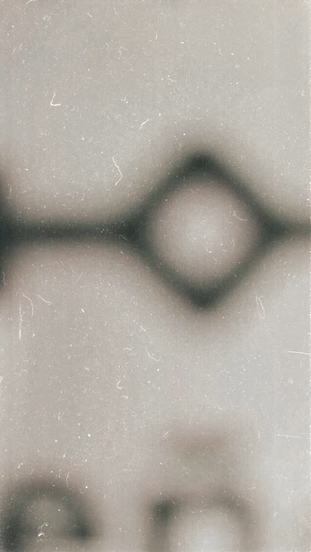 Buns buns buns buns.... *sound on*
Do you need any? We have plenty!!
PSA, the last set of buns aren't for sale 😉
#glutenfreebuns #buns #veganbuns #whatthegf #beavertonontario