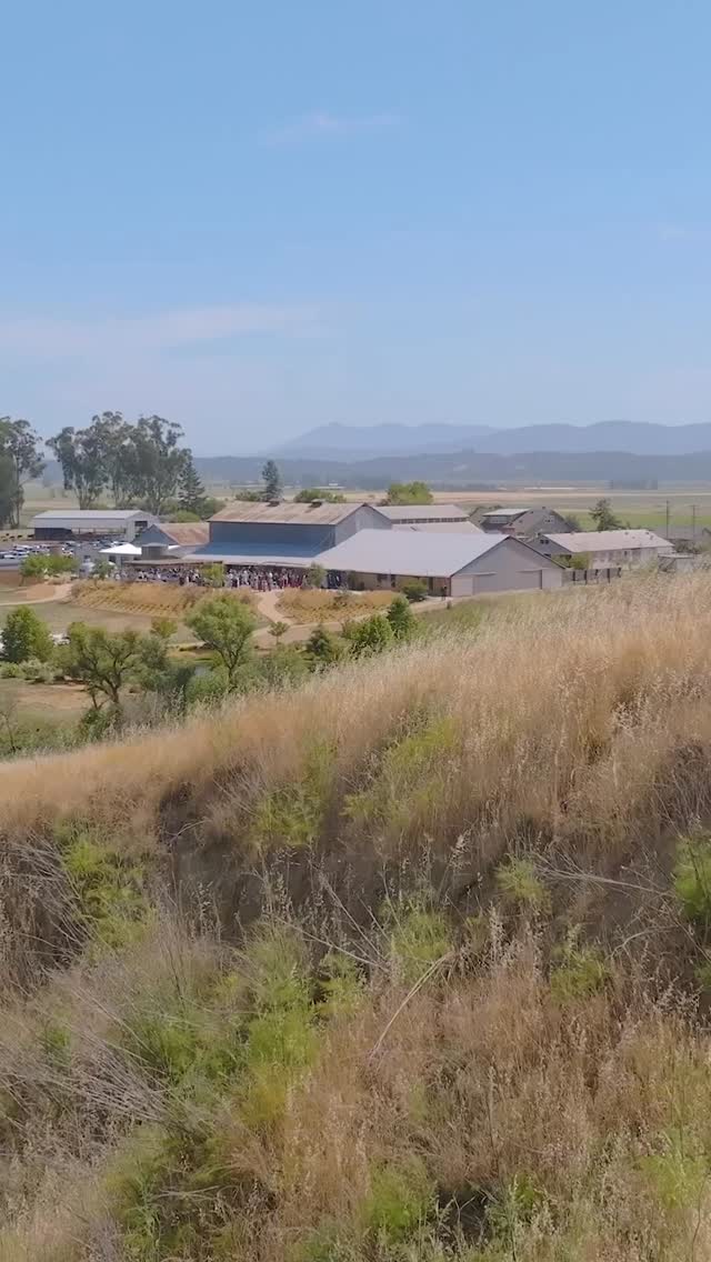 A timeless celebration of love at the beautiful Gambonini Family Ranch in Petaluma 🤍✨
J&E’s wedding was the perfect blend of elegance, emotion, and California charm — from a heartfelt ceremony beneath open skies to an unforgettable evening filled with grace and golden light.
⠀
Every frame of this film reflects the love they share and the beauty of the day we’ll never forget.
.
Venue // @gamboninifamilyranch
Photo // @scoutdenatalephotography
Film // @jdnkfilms
Coordination // @ohsplendidday
Caterer // @lombardis_catering
Cake // @costeauxfrenchbakery
Bride // @erikaspaletta
Groom // @jayson_spaletta