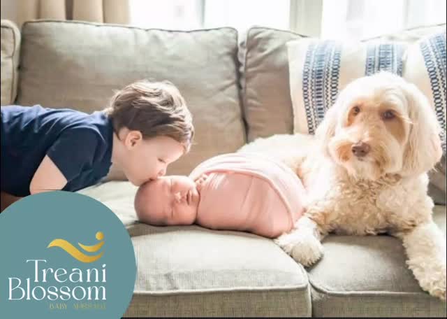 Chilly weather in Bayview but warm smiles at today’s private infant massage class - with a helpful toddler and playful pooch!
#InfantMassage #BabyMassage #FamilyTime #Bayview #MindfulParenting #GentleParenting #ToddlerLife #