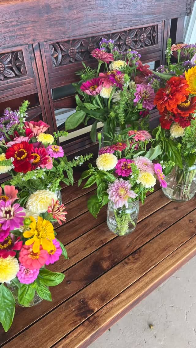 💐 Don’t forget to pick up your flower bunches! 💐
We’re only open Tuesday, Wednesday, and Thursday this week — so don’t miss your window to grab some fresh blooms!
Swing by between 11–6 or DM us for special orders 🌸
#FreshFlowers #FlowerPickup #HarrodsburgKY #LocallyGrown #MidweekBlooms #PetalsAndPosies #SupportLocalFarmers