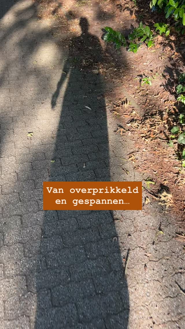 Van overprikkeld en gespannen… naar rust en acceptatie 💛
Ze kwam voor het eerst bij mij met veel spanning in haar lijf en hoofd. Een burn-out, trauma, fysieke uitdagingen.
Andere therapieën hadden haar deels geholpen maar ze bleef vastlopen in de spanning; nu wenkte de adem haar. 🫶🏻
Na een Wereldreis (10 sessies) deelt ze dit: “Elke sessie voelde anders, maar altijd veilig en gedragen. Door de liefdevolle en rustige begeleiding durfde ik me echt open te stellen, ook al voelde het kwetsbaar. Ik ben nu liever voor mezelf, voel me meer oké met wie ik ben en hoe mijn verleden me gevormd heeft.” 😍
En ook: “Ik denk dat mensen die ademwerk zweverig vinden klinken, bij jou zullen ervaren dat het dat helemaal niet is.”
Ik heb bijna geen woorden voor hoe blij ik hiervan word. Laten we al het moois dat de adem kan brengen als een rimpeling in het water verder uitspreiden! 🤩
About that: na de zomer heb ik weer plek om een 1:1 traject op te starten. Voel jij ook dat (werken met) je adem jou roept? Je bent super welkom. Stuur me een DM, dan nodig ik je uit voor een kennismaking. Je bent super welkom 😘
#ademwerkdriebergen #wereldreis #rebirthingbreathwork #ademwerk #nietzweverigweleffectief