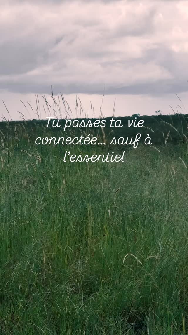 Tu regardes des écrans. Tu cours après des horaires. Tu réponds à des notifications.
Et pourtant, tu ressens ce manque.
Celui qu’aucun message, aucun appel, aucun rendez-vous ne comble.
Ce rituel est une réponse douce.
Sors quelques minutes.
Ralentis.
Pose ta main sur une écorce, une pierre, une feuille.
Inspire profondément. Sens ton corps retrouver son propre rythme. Si possible, enlève tes chaussures et ferme tes yeux, avant de les ouvrir grand.
Tu n’as pas besoin de fuir ta vie.
Tu as juste besoin de te reconnecter à l’essentiel : la nature, ton souffle, la présence.
Le bracelet Connexion à la Nature, en agate mousse, est là pour t’y ramener chaque jour.
Une pierre d’ancrage, de douceur végétale, de retour à soi.
Elle calme le mental, équilibre l’énergie et ouvre les sens aux vibrations du vivant.
Porte-la comme un rappel. Une permission. Un point de contact entre toi… et ce qui est plus vaste que toi.
📿 Bracelet en pierre naturelle d’agate mousse — 15 €
📍 Disponible chez Arsène & Lilly, sur jolisbaumes.com, et dans nos boutiques partenaires
Tu n’es jamais vraiment loin de la nature. Il suffit de tendre la main.
#jolisbaumes #arseneetlilly #agatemousse #braceletenpierresnaturelles #lithotherapie #connexionnature #slowrituel #pierrevibratoire #energieverte #ancrage #spiritualitédouce #retourauxsources