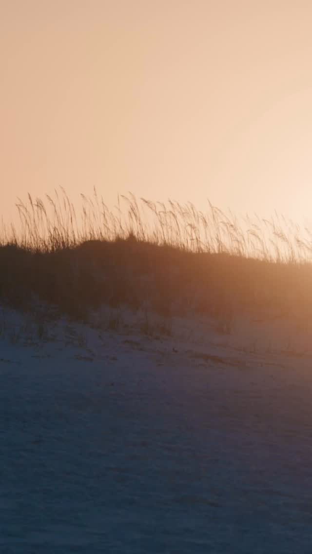 Looking forward to Florida this year!
.
.
#florida #beach #underwater #vacation #beachvibes #destinflorida #fortwaltonbeach #nraw #joncahillphoto