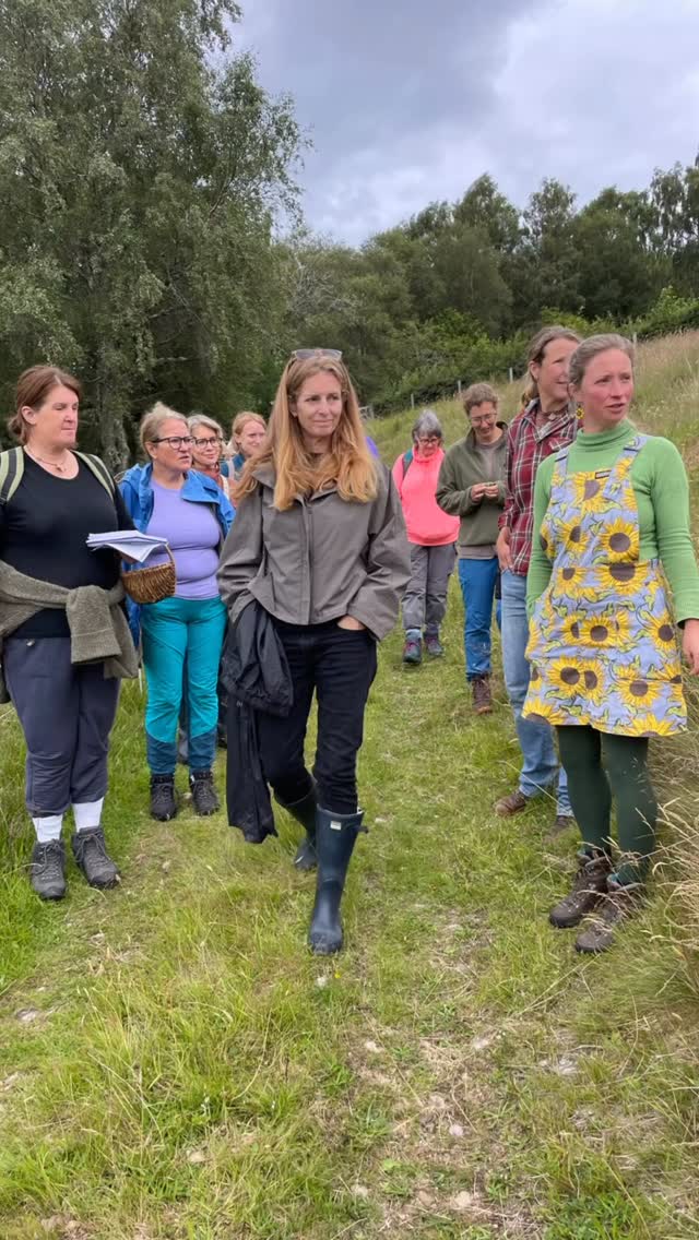 Lynbreck lovelies 🌼🌿🌸☘️🫐
It was great to be back teaching #scotlandswildmedicine at lynbreck_croft last weekend with 2 groups of lovely people from far and wide!
Myself, Lynn and Sandra have been running these courses for several years now and they are always super fun and popular, and include a delicious feast lunch which includes top notch Lynbreck produce. We always find such abundance of medicine plants on the croft which is so attentively cared for by them.
Keep an eye out for next year’s dates going live on the Lynbreck website, or join myself and Lilia @heal_scotland for our Scotlands wild medicine Autumn/Winter retreat!
.
.
.
.
.
.
#herbalmedicine #foraging #herbalmedicinemaking #foragingcourses #wildmedicine #croft #woodlandcroft #wildfood #forager #lynbreckcroft #westhighlandherbal